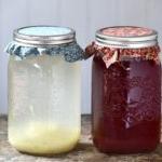 Try making a berry ginger bug soda!