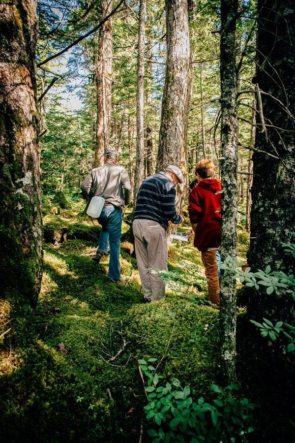 My Week in Cordova, Alaska