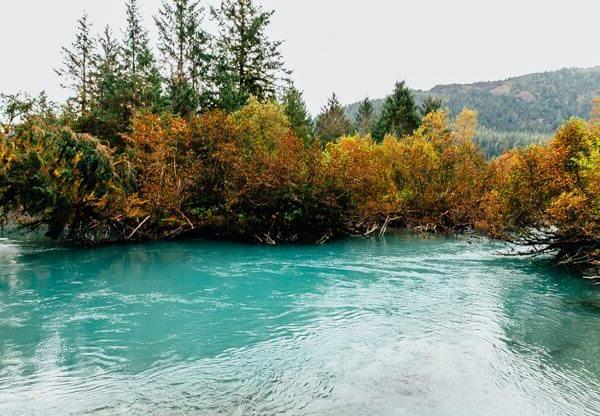 My Week in Cordova, Alaska