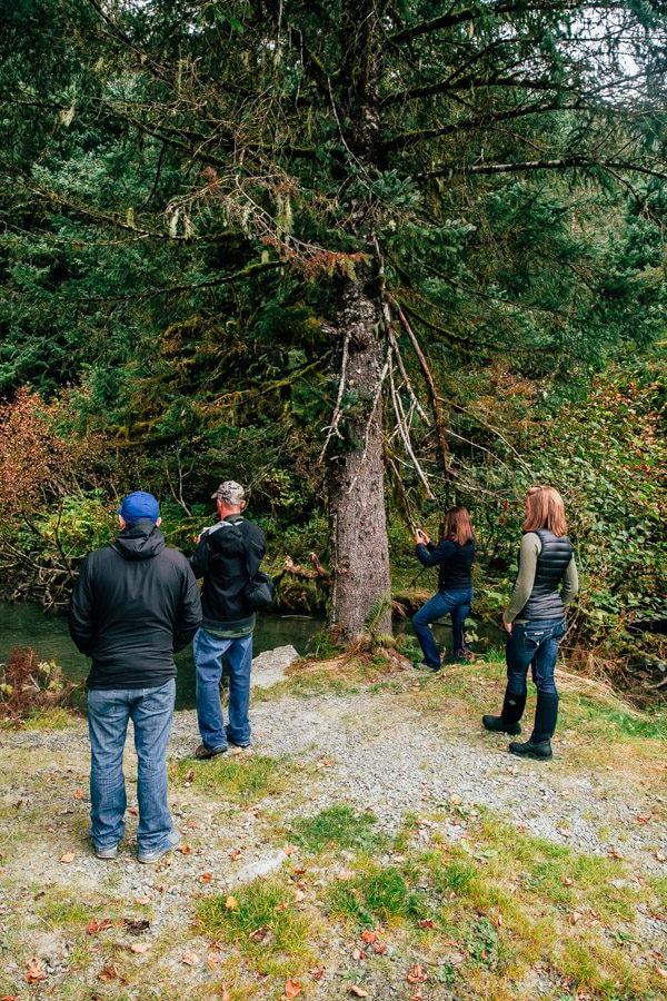 My Week in Cordova, Alaska