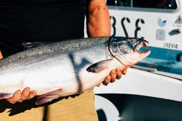 My Week in Cordova, Alaska